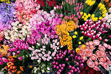 复古射击类肉鸽游戏《劣质品》现已推出试玩Demo 预计2024年第四季度正式发布